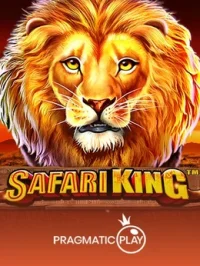 Safari King PP Myanmar